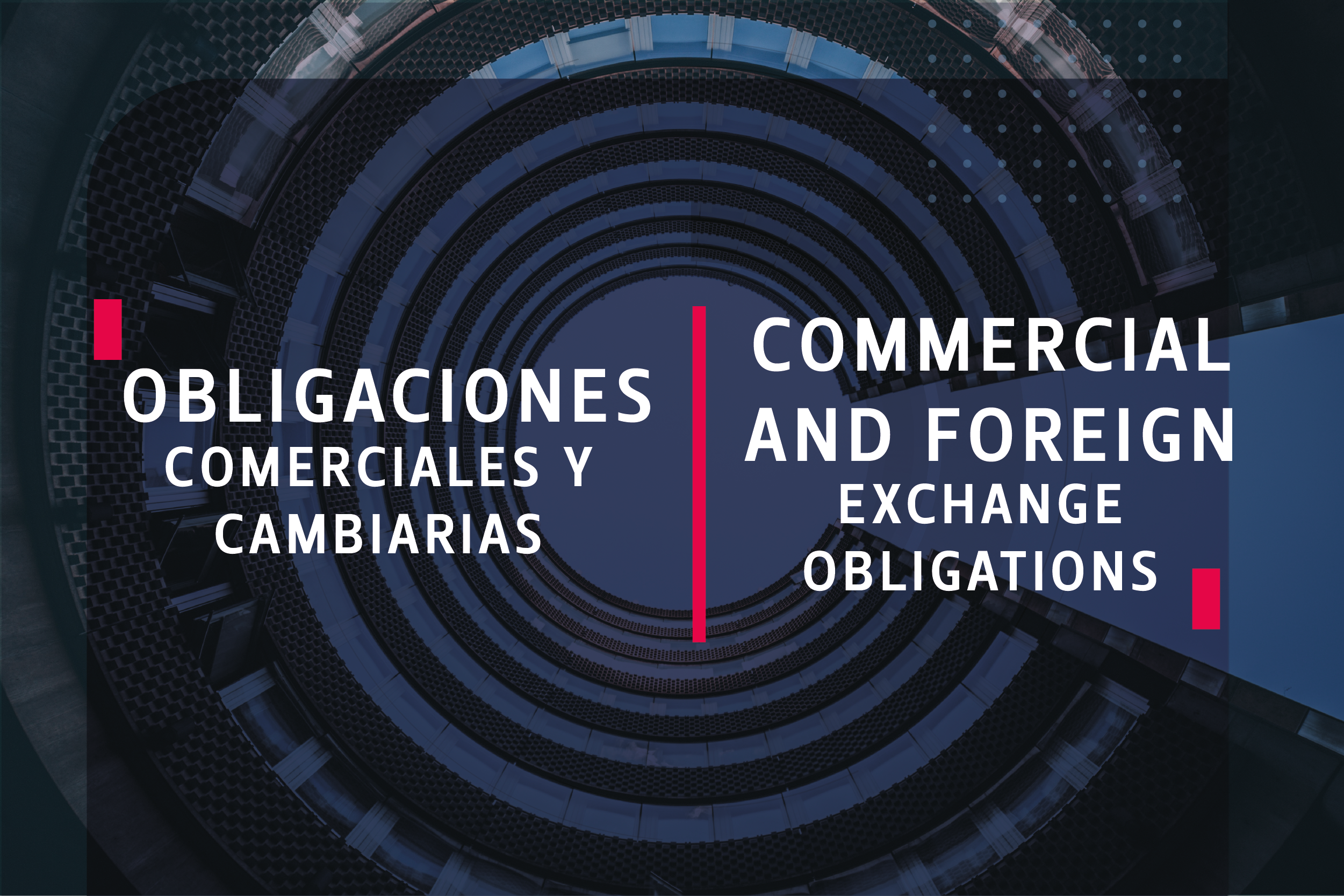 Commercial and Foreign Exchange Obligations - Foreign Company Branches