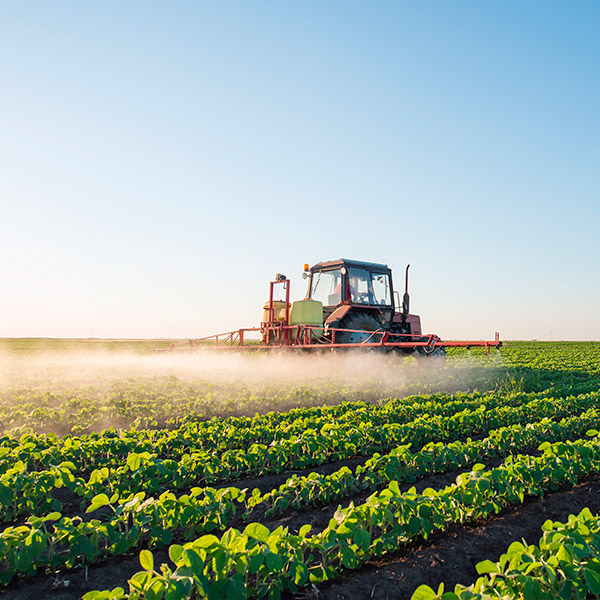 Nueva regulación sobre el seguro agropecuario.