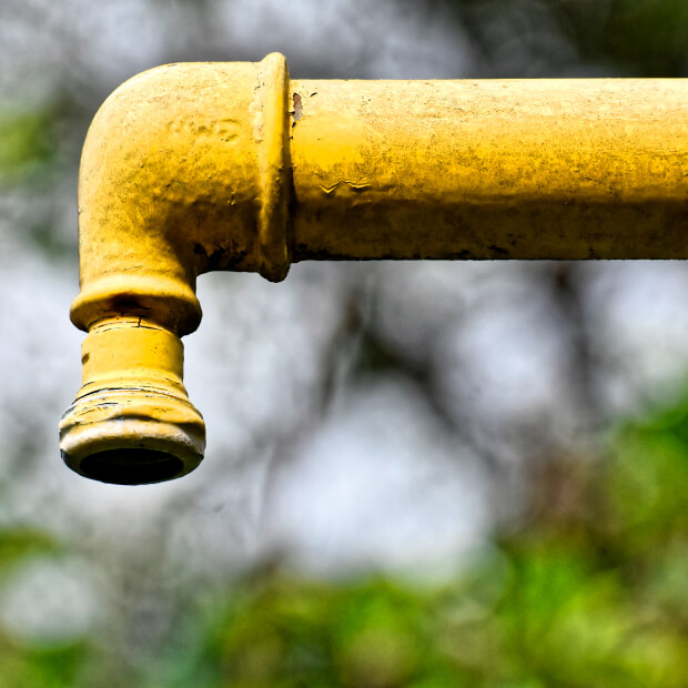 Nulo proceso sancionatorio ambiental por incumplir etapas procesales