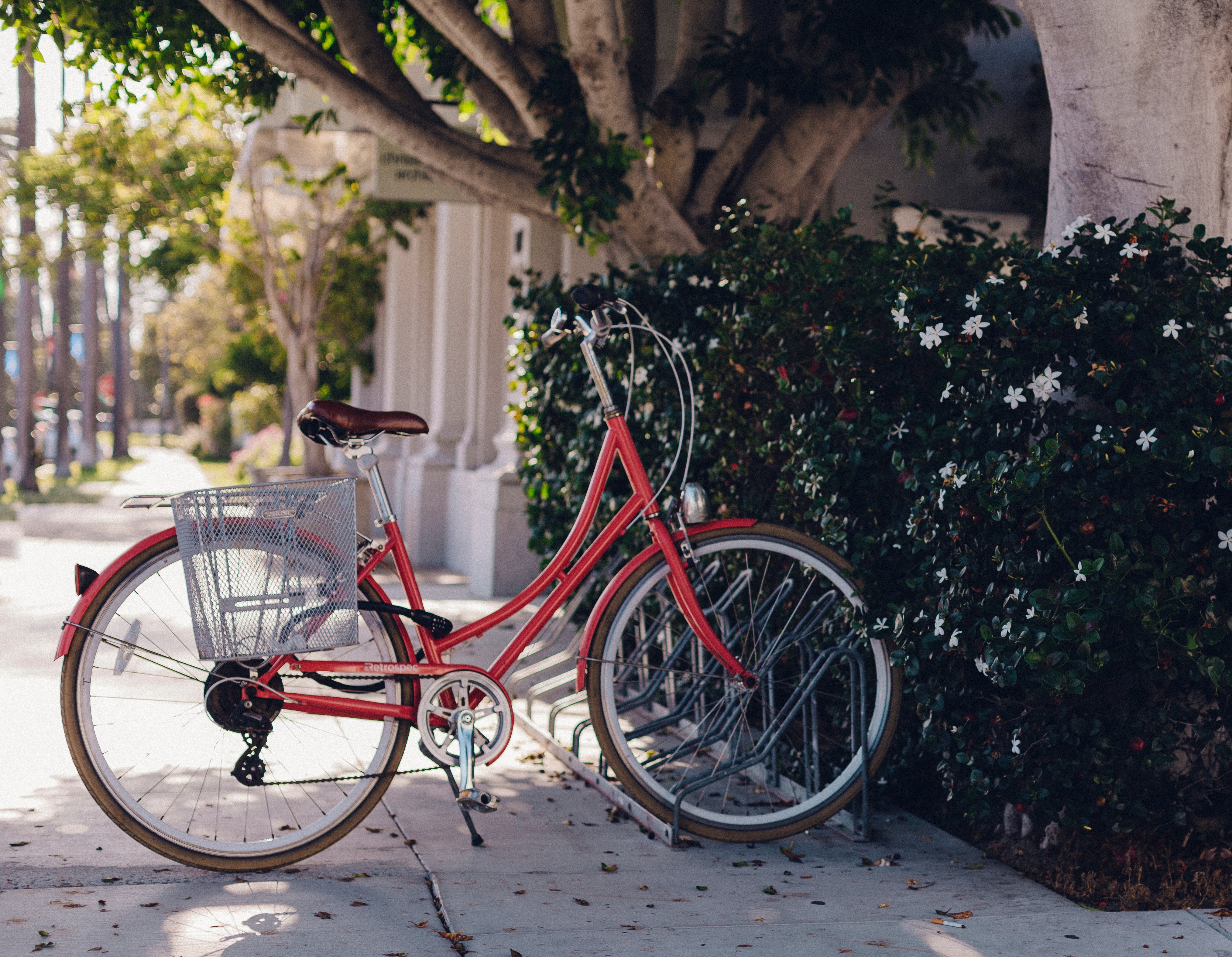 Ciclo parqueo