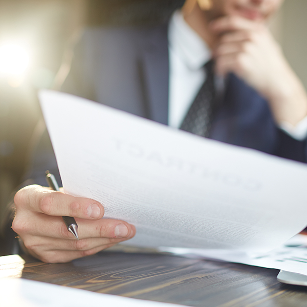 Tutela para dirimir controversias de seguros