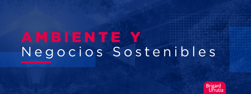 Ambiente y Negocios Sostenibles