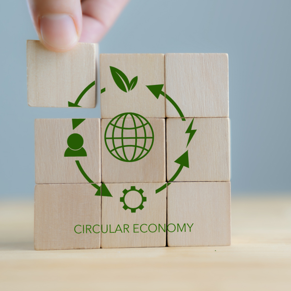 Sustainable Economies
