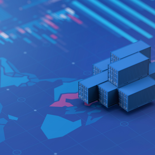 Declaración Anticipada de Importación