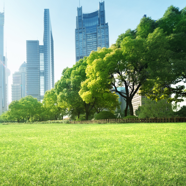 Green Claims la UE contra el greenwashing
