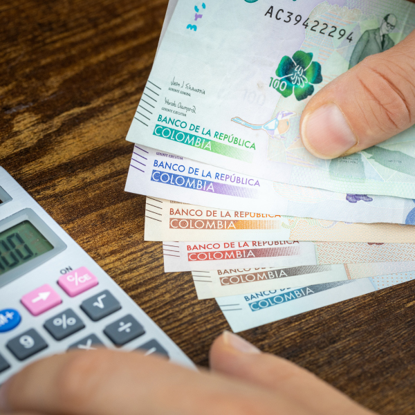 Salario Minimo Legal 2024