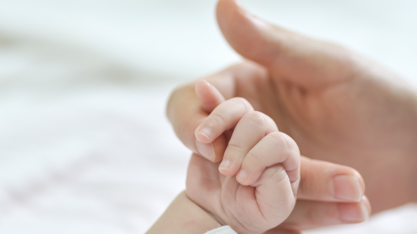 01. Protección de la maternidad