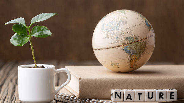 04. Agenda en materia ambiental