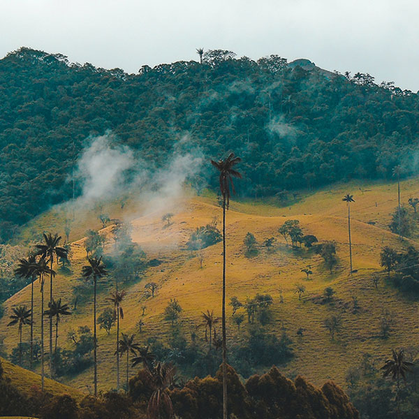 Creación de las Redes Regionales de Emprendimiento