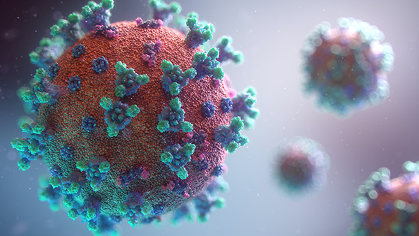 Conozca las medidas vigentes para el control de la pandemia del Covid-19