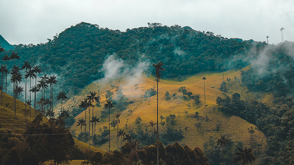 cultural landscapes