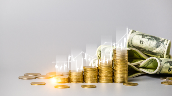 Pérdidas fiscales