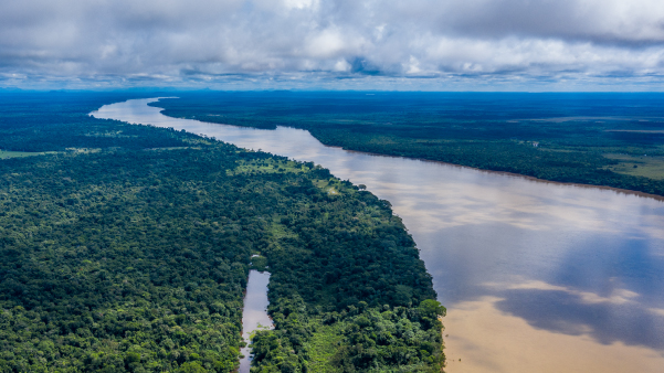 Protección Ecosistemas