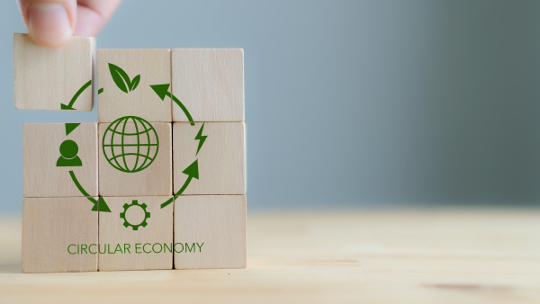 Ruta para la acción climática 