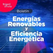 Energía Renovable y Eficiencia Energética
